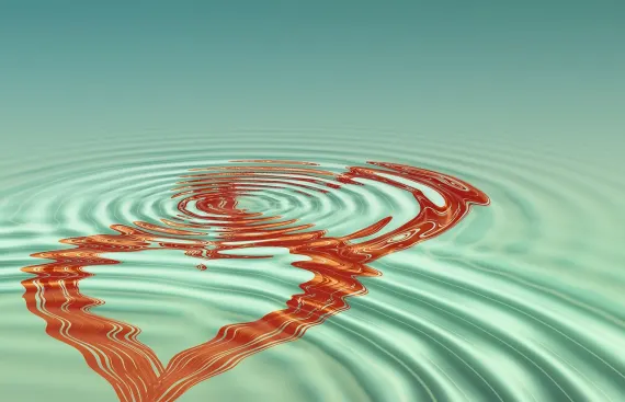 포춘 카지노 지원